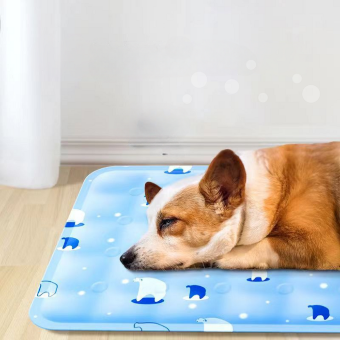 쿨매트 애견 쿨링매트 고양이 강아지 대형 60×50 cm 반려견 사무실방석, 스카이블루 60X50CM, 1개 쿨매트 애견 쿨링매트 고양이 강아지 대형 60×50 cm 반려견 사무실방석, 스카이블루 60X50CM, 1개