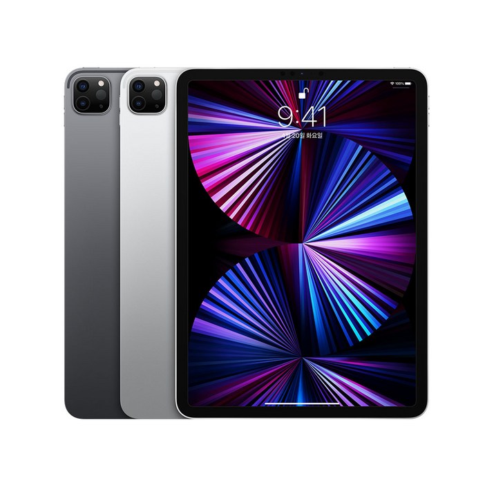 애플 아이패드 프로 12.9형 5세대