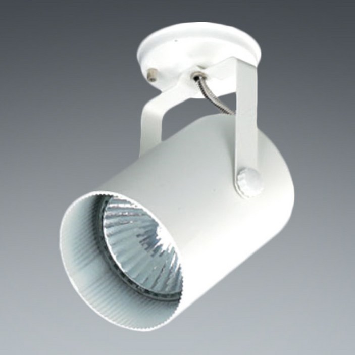 LED 원통 PAR30 직부 등기구