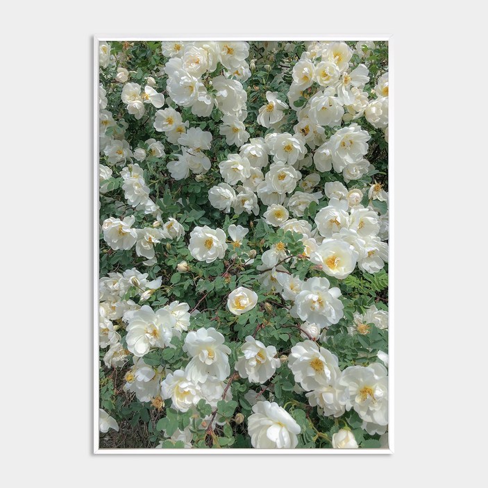 멜팅스튜디오 알루미늄 나의 유럽 모먼트 액자 세트 108번 Among the flowers 멜팅스튜디오 알루미늄 나의 유럽 모먼트 액자 세트 108번 Among the flowers