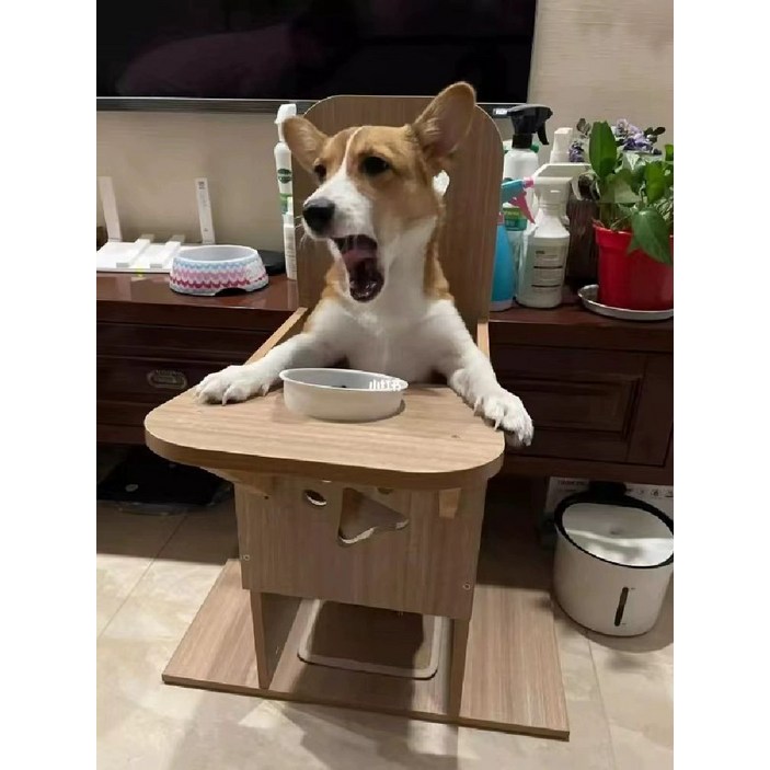 강아지 식탁의자 가구 밥그릇 펫체어 원목 스툴 반려견