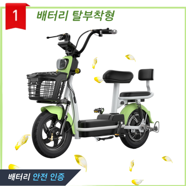 전기 스쿠터 전동 자전거 배터리 분리형 48V 2인용 출퇴근 배달 SBINO 2, 그린