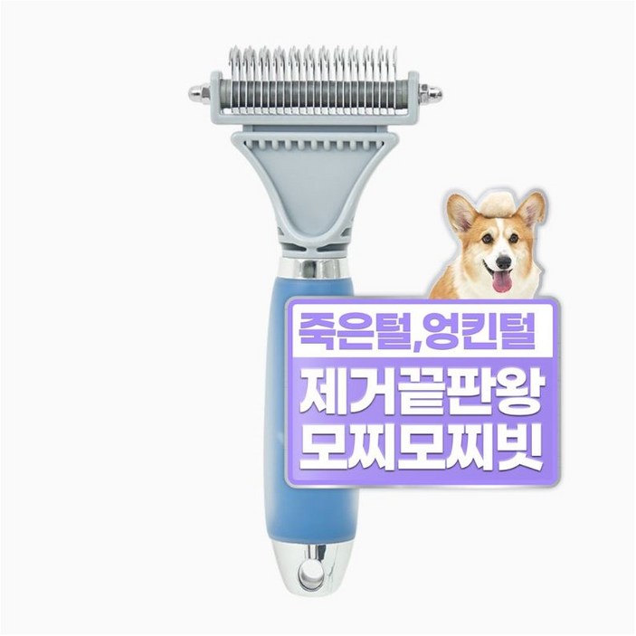 헨로포우 반려동물 모찌빗, 블루, 1개
