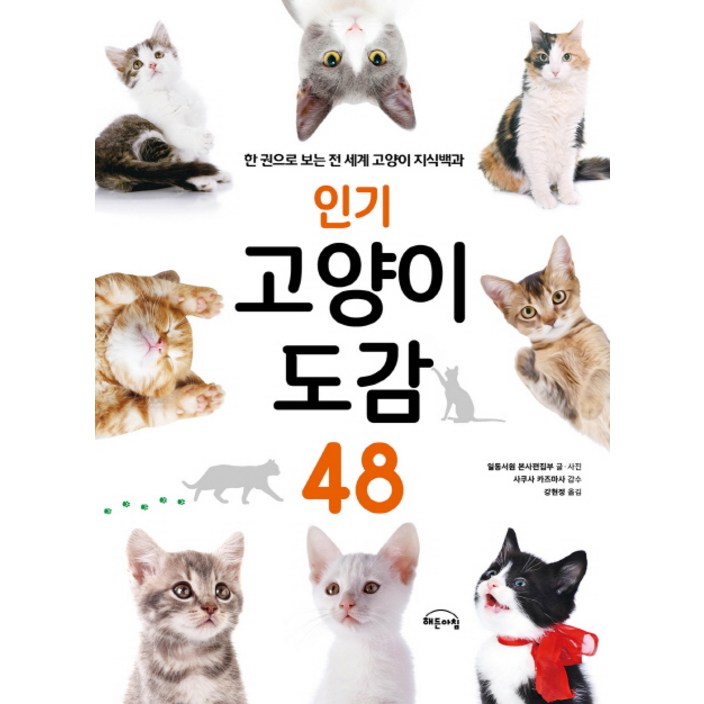인기 고양이 도감 48:한 권으로 보는 전 세계 고양이 지식백과