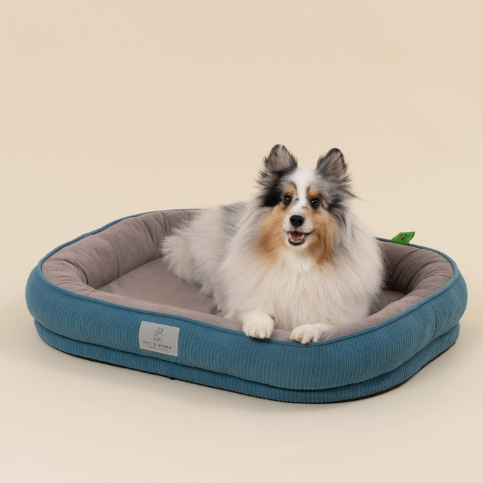펫앤마마 반려동물 꿀잠 방석, 1개, Blue(블루)