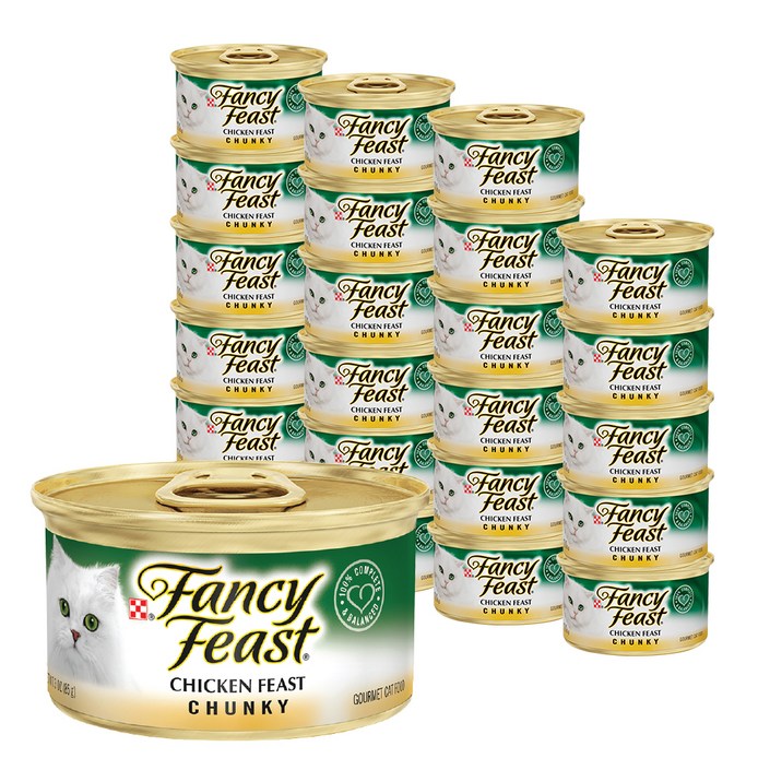 팬시피스트 3개월 이후 고양이 청키 주식캔