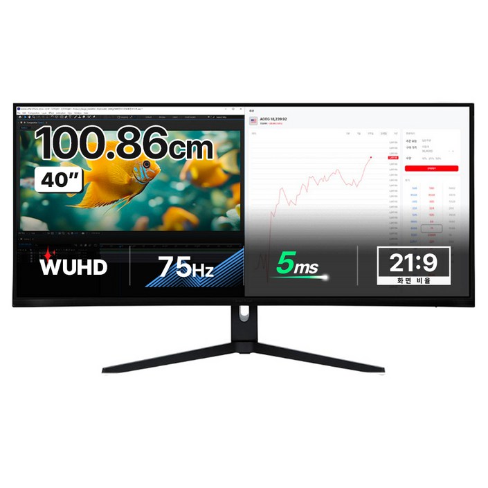 인터픽셀 5K WUHD NANO IPS 75Hz 높이조절 모니터, IPU4010일반, 100.859cm