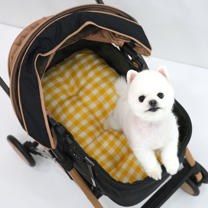 패리스독 강아지 브리프체크 유모차쿠션