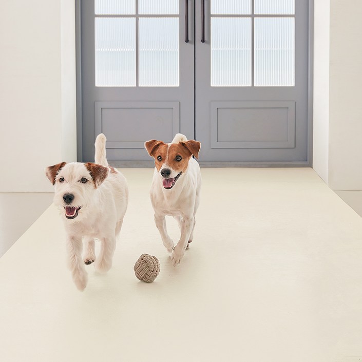 에코폼 반려동물 미끄럼방지 논슬립 롤매트