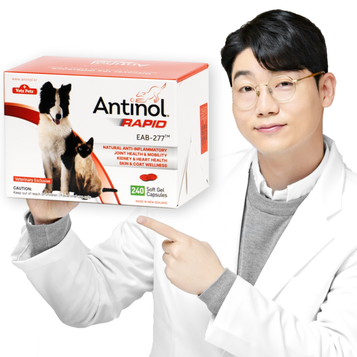 안티놀 래피드 240정, 뼈관절강화, 76.8g, 1개
