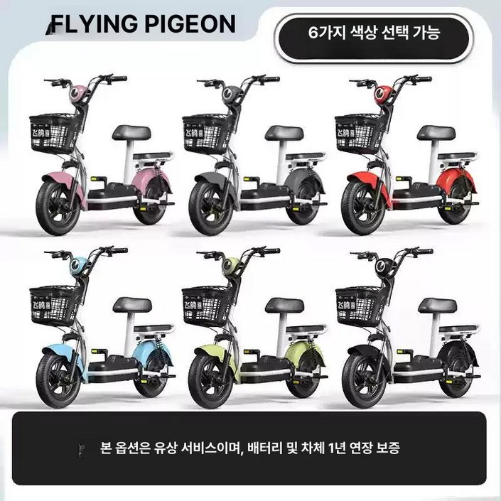 2인용전기자전거 48V 이지베이션 렌탈 전동