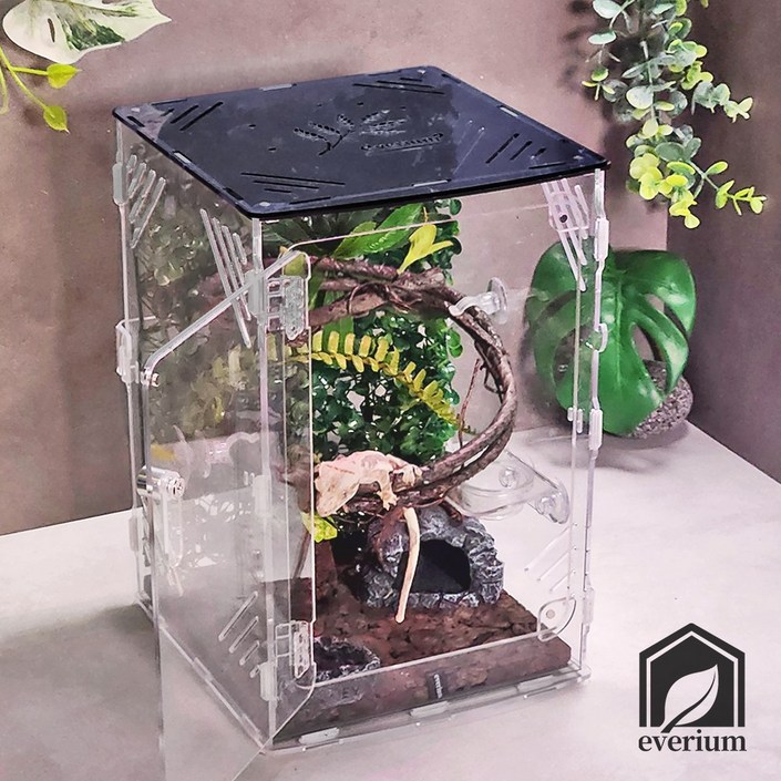 에버리움 크레스티드 게코 도마뱀 아크릴 사육장 세트  소형 20x20x30cm