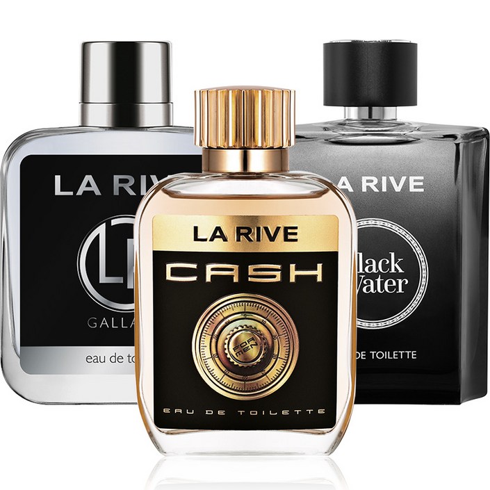 라리브 모던스타일 남성향수 100ml 3종 갈란트블랙크리크아이언스톤, 100ml