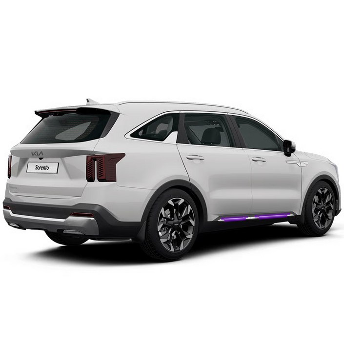 스킨엑스 쏘렌토 MQ4 페이스리프트 도어스텝 PPF 차량보호필름, 1개