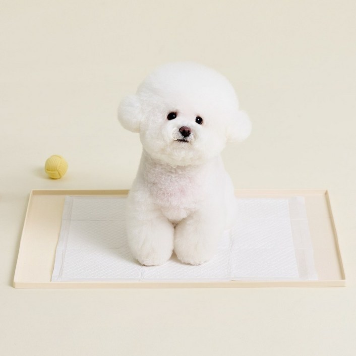 울리 강아지 도트 실리콘 배변매트