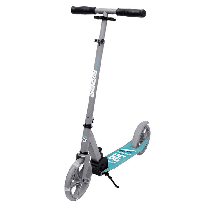 엑스원드라이브 라이더 주니어 성인 두발 접이식 수동 킥보드 XA-125