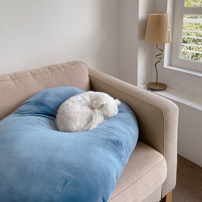 앤더라인 대형 쫀득 말랑 츄이 소파 쿠션