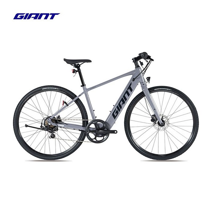 자이언트 에스케이프 E+ Giant Escape 전기자전거