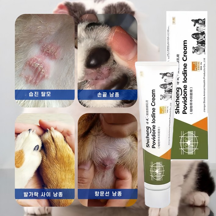 강아지 고양이 피부 가려움증 연고 곰팡이성 피부염 치료 습진 발바닥 보습 연고