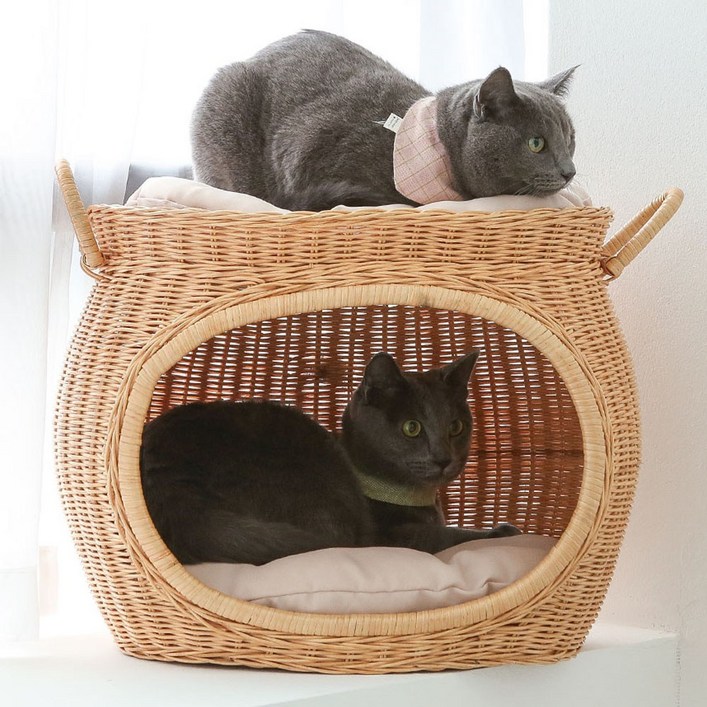 초록씨 고양이 강아지 라탄 하우스고양이집 강아지집 하우스쿠션하우스, 2.항아리 라탄 하우스, 1개