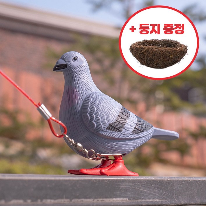움직이는 반려 비둘기 선물세트 비둘기둥지산책줄