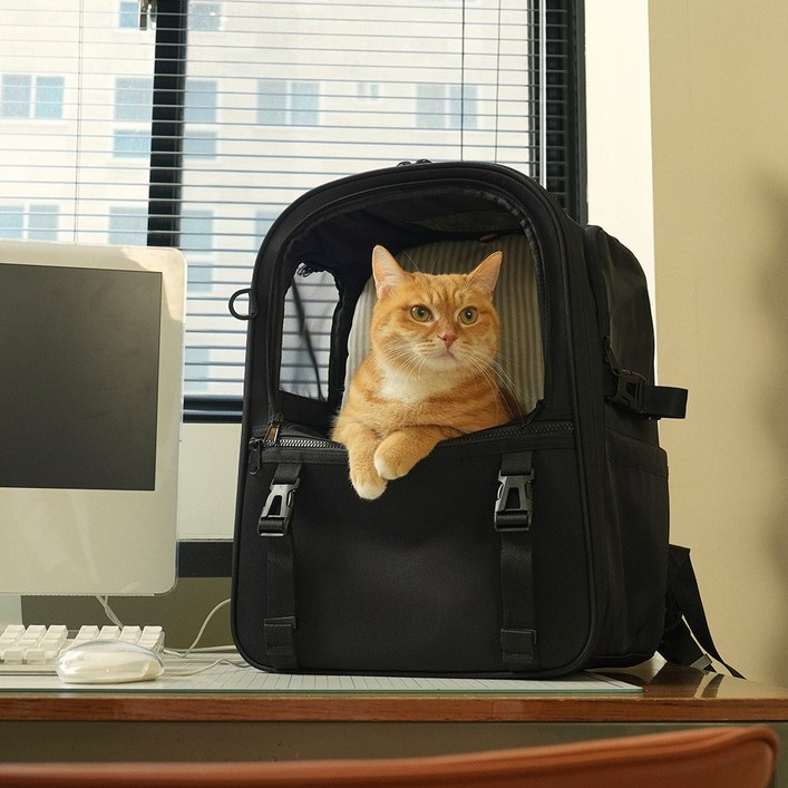 인더코코 강아지 고양이 코코백 백팩, 1개, 블랙 인더코코 강아지 고양이 코코백 백팩, 1개, 블랙