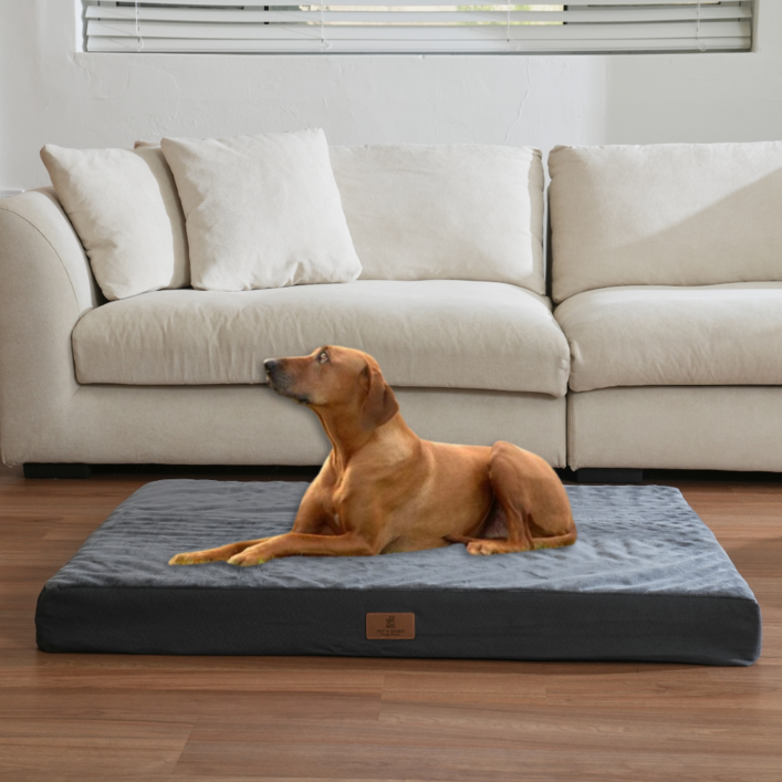 홀릭하임 대형견 슬개골 보호 에그폼 커버분리형 사각 방석 01 L  2XL, 진그레이, 1개