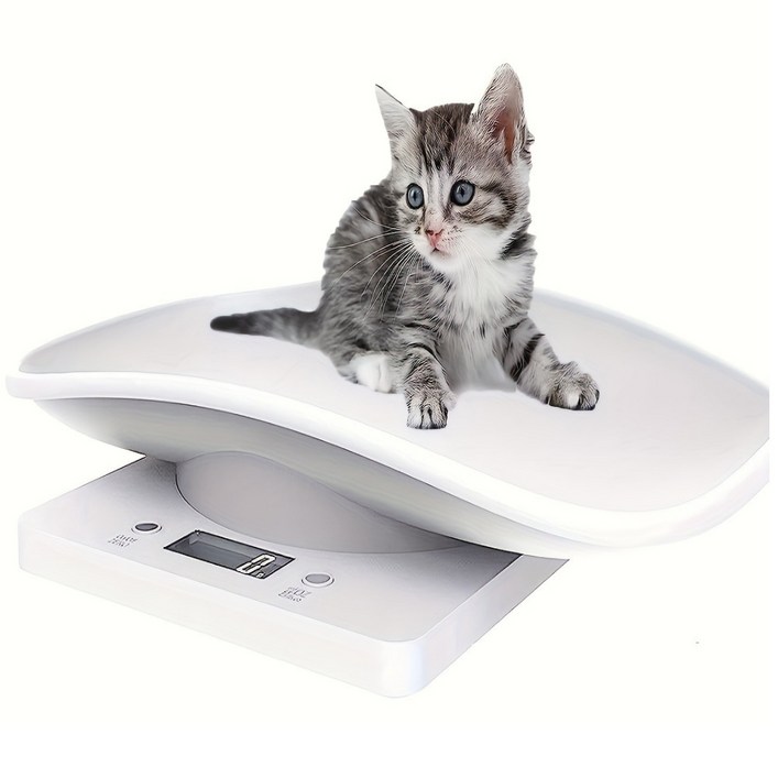 캐쉬카트 반려동물 체중계 펫저울, 화이트, 1개, JMK13