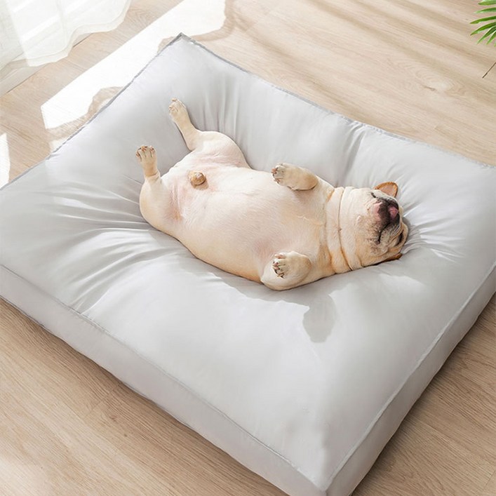 HA.M 사계절 방수 애견방석 고양이 강아지 알러지프리 진드기차단  푹신한 방석