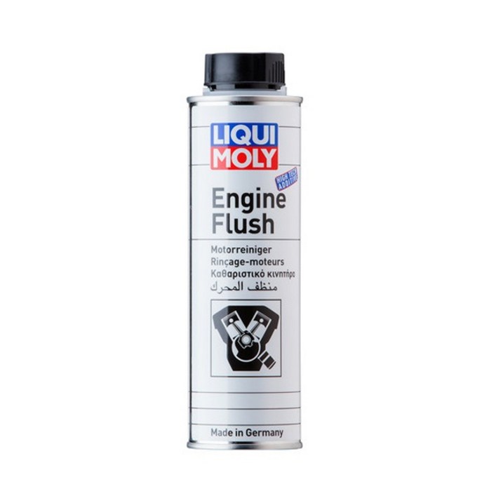 리퀴몰리 엔진 내부 세정제 300ml 2678