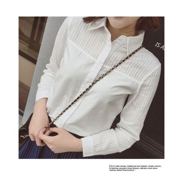 비아이와이 여성 봄 가을 카라넥 긴팔 셔츠 오피스룩 D23