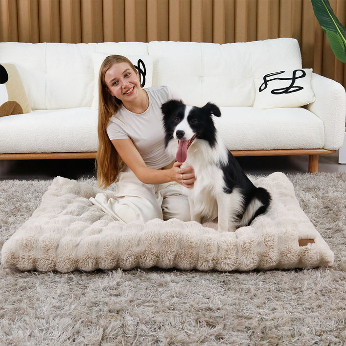 BingoPaw 강아지 쿠션 폭신 방석 하우스개모차 방석 구름촉감 사각벙석 M4XL 와플방석 커버분리 방수안감 탈부착 세탁, 베이지, 베이지BG, 1개