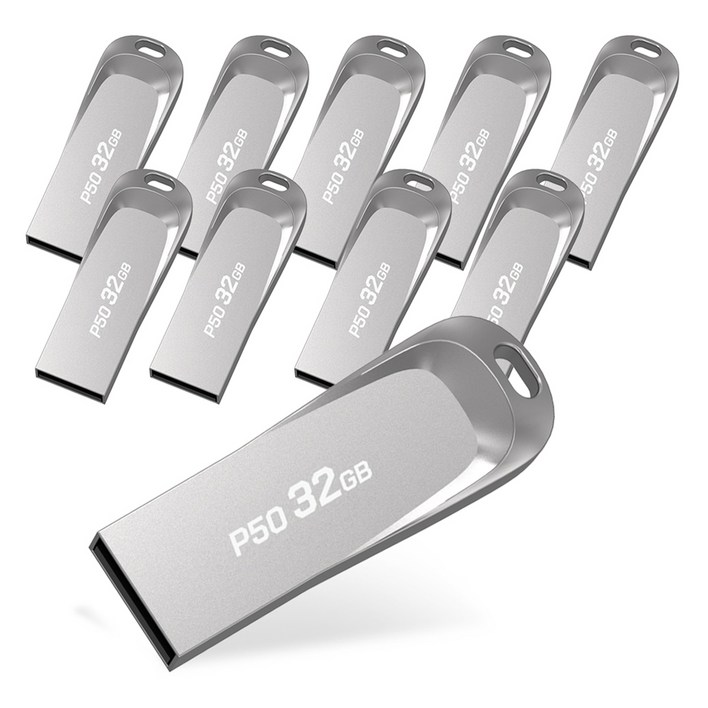 PLEIGO USB메모리 P50