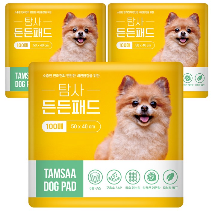 탐사 고흡수 든든패드 레몬향