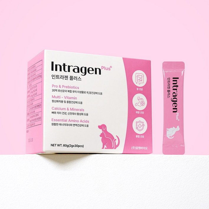 인트라젠 플러스 반려동물 영양제, 60g, 장건강유산균, 4개