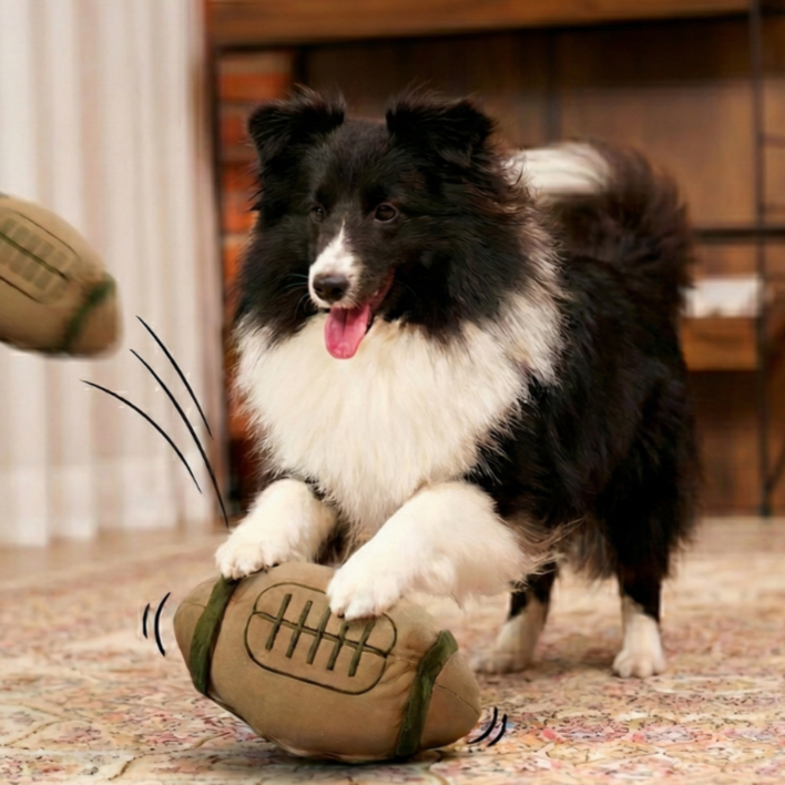 디퓨리 반려동물 자동으로 움직이는 노즈워크 장난감 노즈럭비 c타입 충전형, 브라운그린, 1개