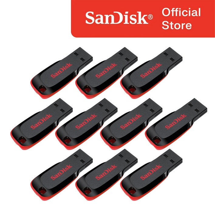 샌디스크 크루저 블레이드 USB 플래시 드라이브 SDCZ50016G 10p