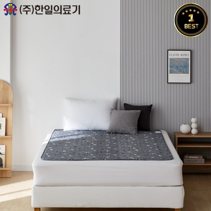 24년형 9월출시한일의료기 프리미엄 고급 전기요 곰인형 싱글,더블
