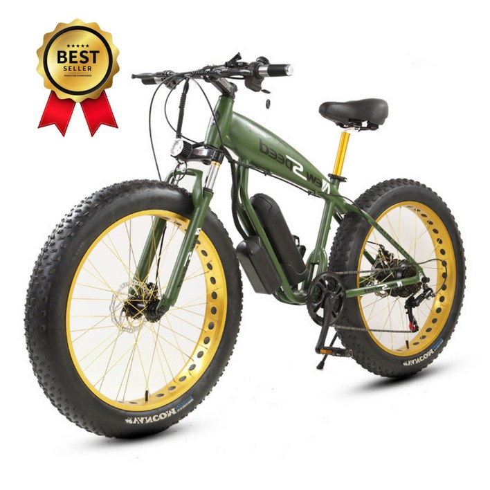 전기 전동 자전거 PAS 팻바이크 스로틀