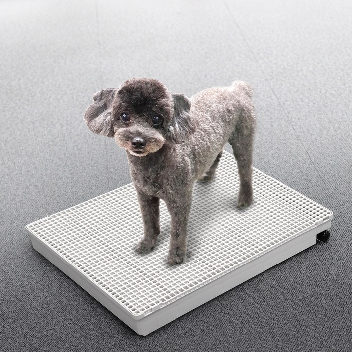 멍멍쉬 강아지 배변판 ,배수호스가 있어 물세척이 가능한 편리한 배변판, 1개, 화이트