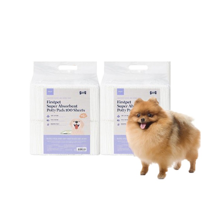 강블리라이프 강아지 고흡수 애견 배변 패드 16g 40x50cm 100매 2팩, 2세트