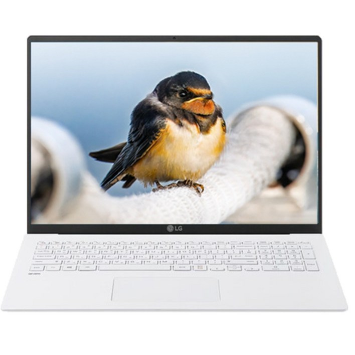 LG전자 17인치 그램 노트북 11세대 i5 16Gb 500Gb 윈도우11프로 17인치 초경량 고해상도 WQXGA IrisXe, 17ZD95N, WIN11 Pro, 16GB, 500GB, 화이트
