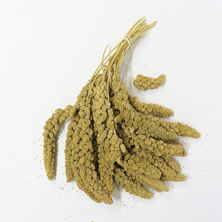 스프레이 밀렛 앵무새 간식