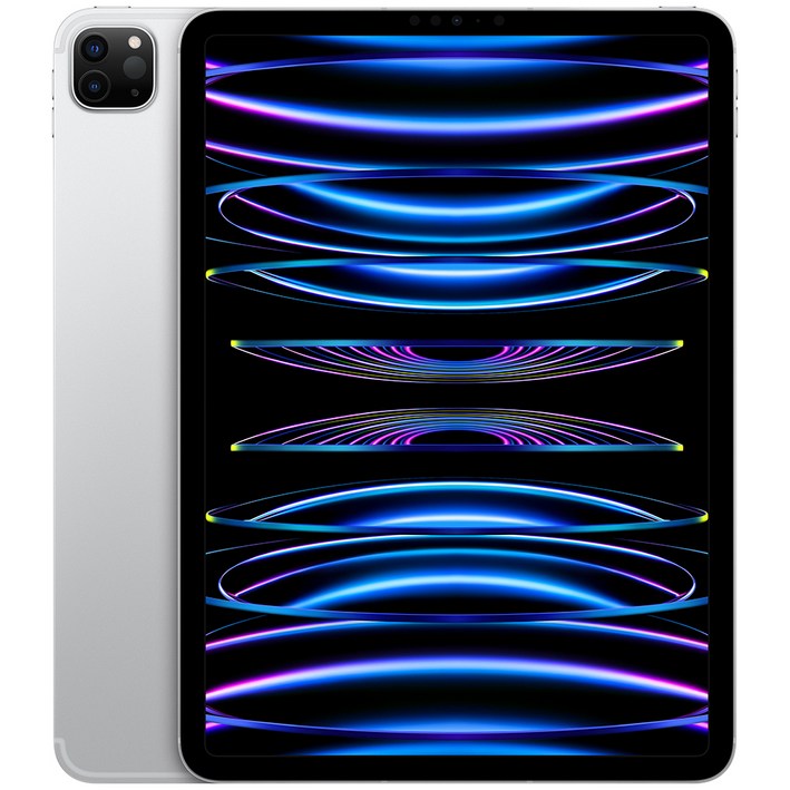 Apple 정품 2022 아이패드 프로 11 4세대 M2칩