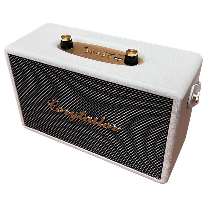 코지테일러 CT20W TWS EQ모드 블루투스 무선 스피커 B140, 화이트