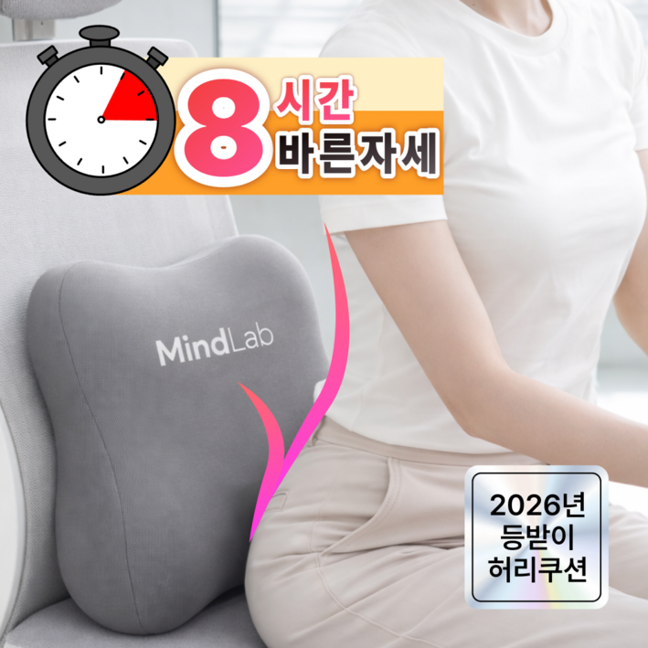 마인드랩 바른자세 사무실 등받이 허리쿠션