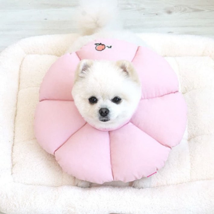 꿀잠카라 핑크