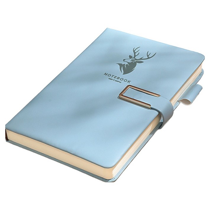 하이어데코 방수 가죽 노트 수첩 다이어리 160p, 스카이, 1개