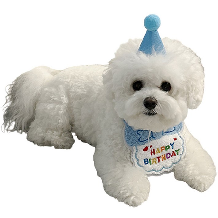 애완동물 생일 축하 스카프모자 세트, 스카이, 1세트