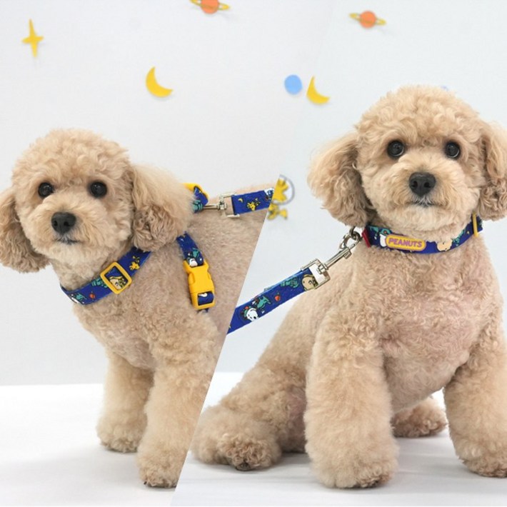 패리스독 피너츠 테마  네이비 하네스목줄리드줄산책용품